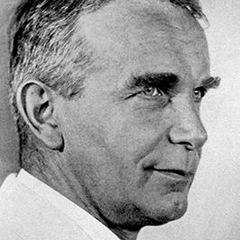 Wolfgang Gaede